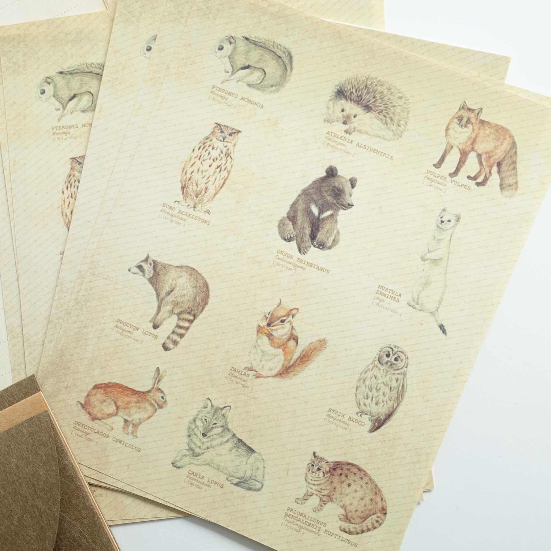 Vintage letter writing set forest animals fox owl hedgehog bear australia
