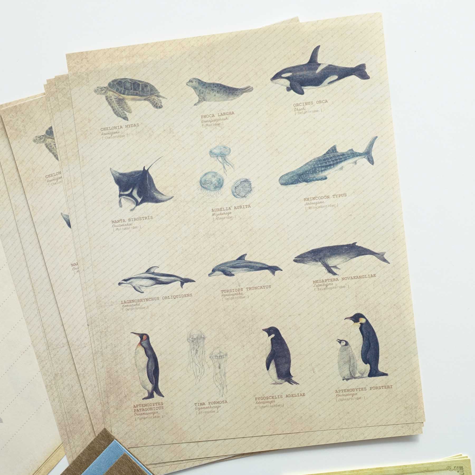 Vintage letter writing set sea animals turtle whale penguins dolphin australia