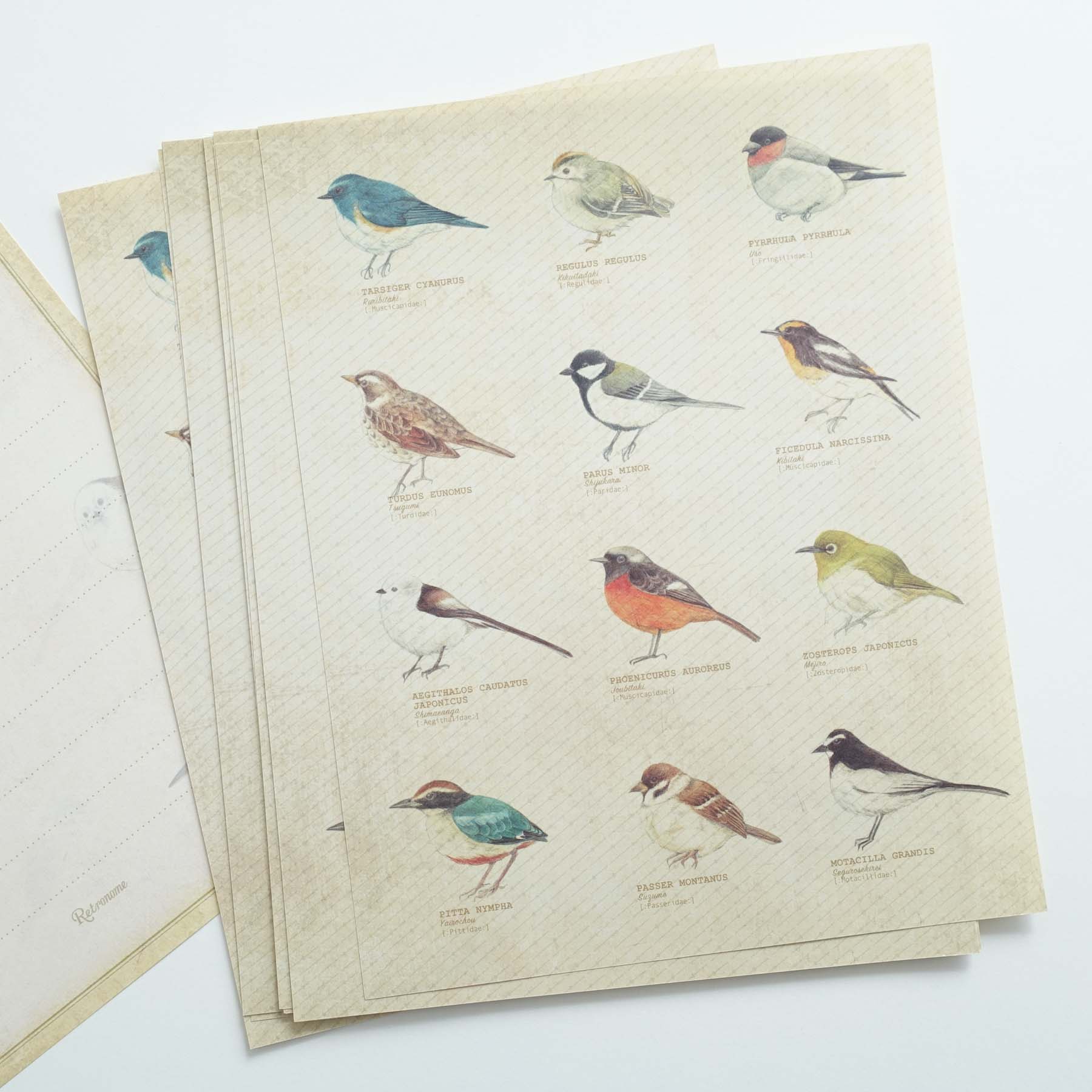 Vintage letter writing set birds fairy wren robin australia