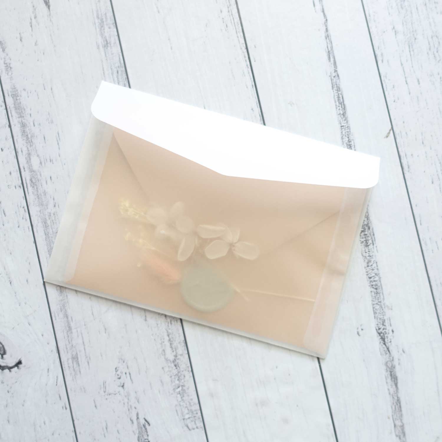 Translucent Vellum Envelopes 10-Pack