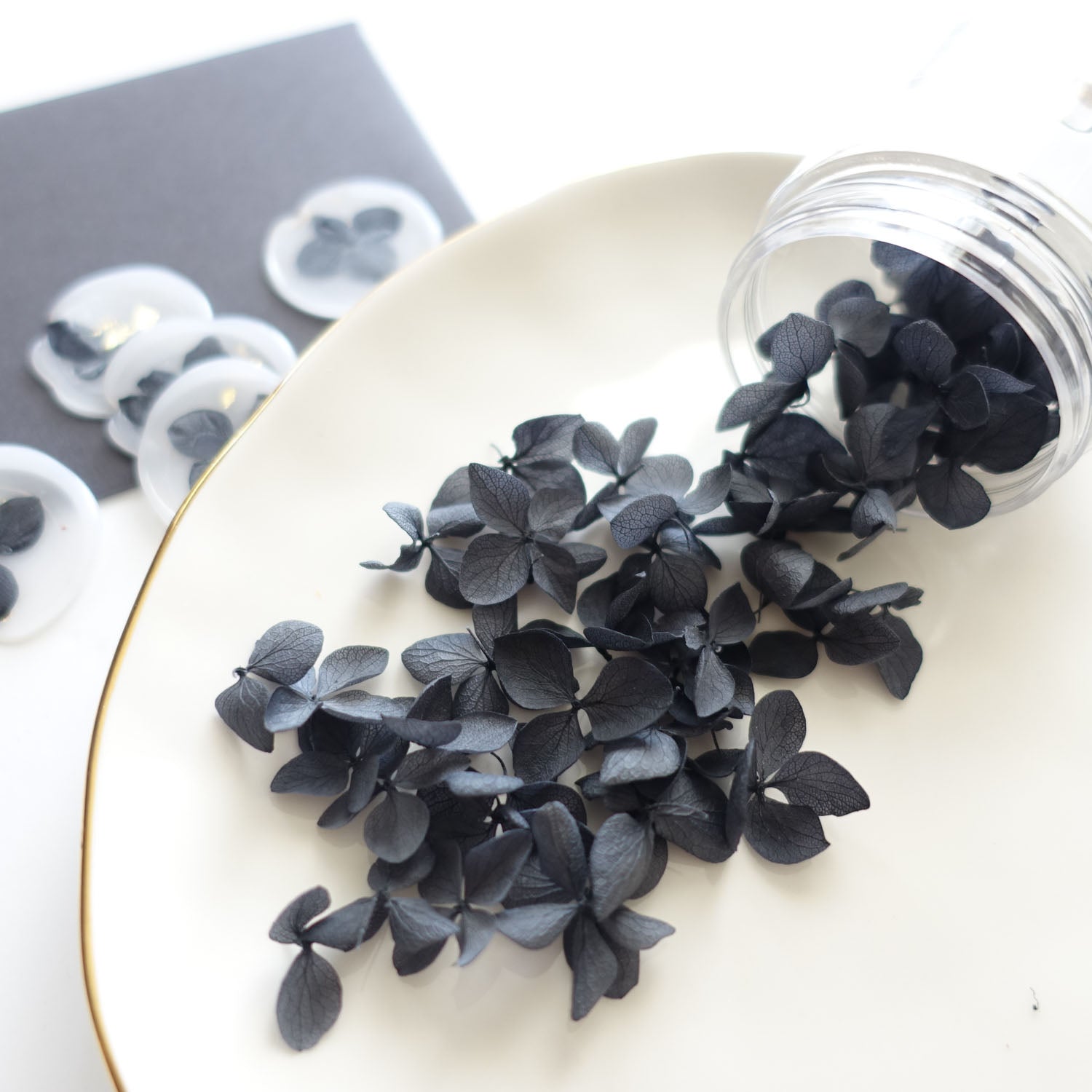 black-hydrangea-flower-petals-jar-fiona-ariva