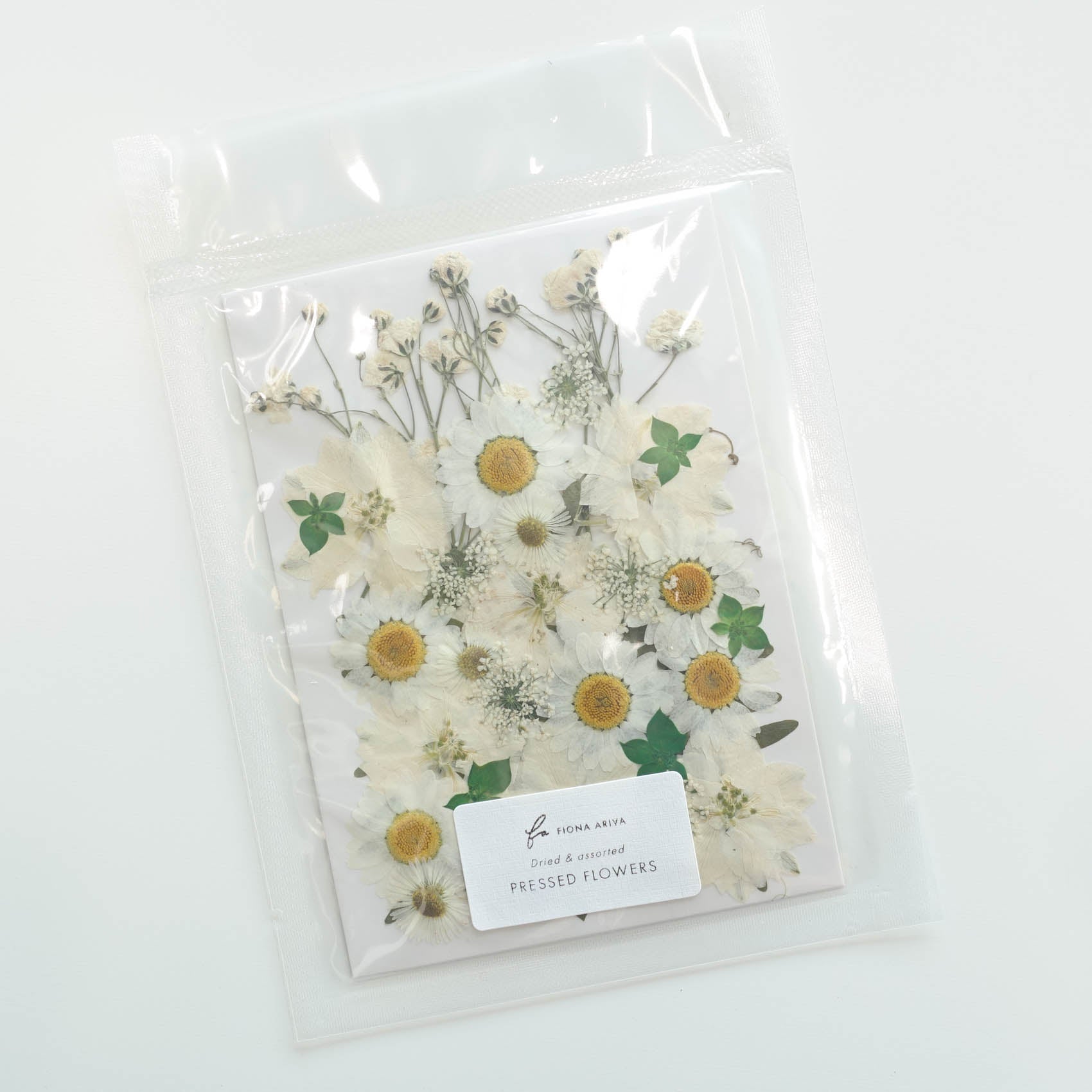 white daisy baby's breath pressed dried flowers australia for resin art wax seal crafts