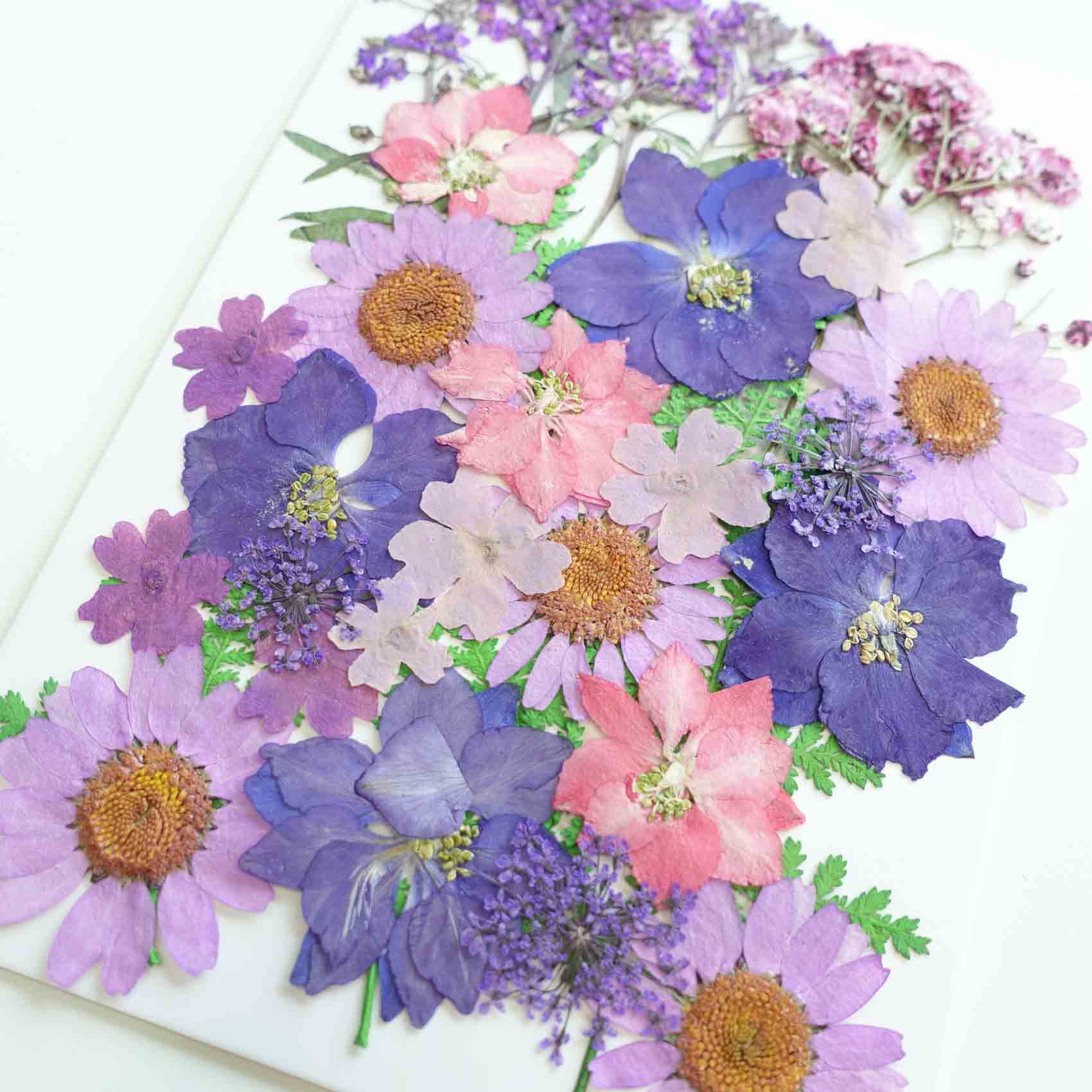 purple daisy hydrangea pressed dried flowers australia for resin art wax seal crafts