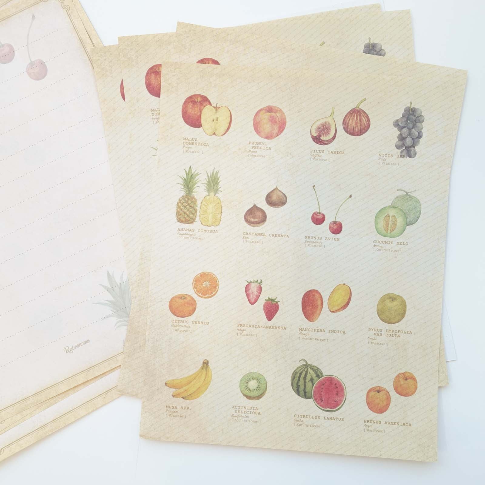 Vintage style premium, double sided, letter writing set featuring fruit illustrations
