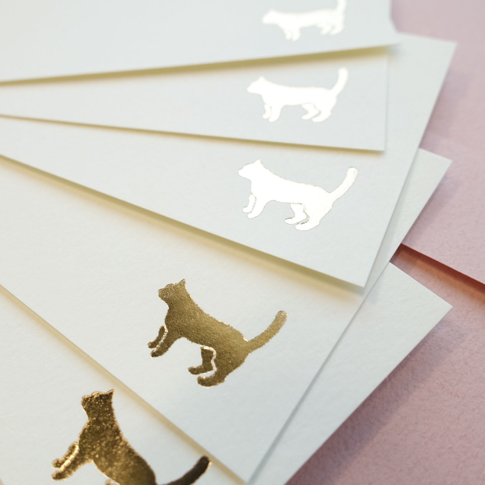 cat mini message card set envelopes gold foil