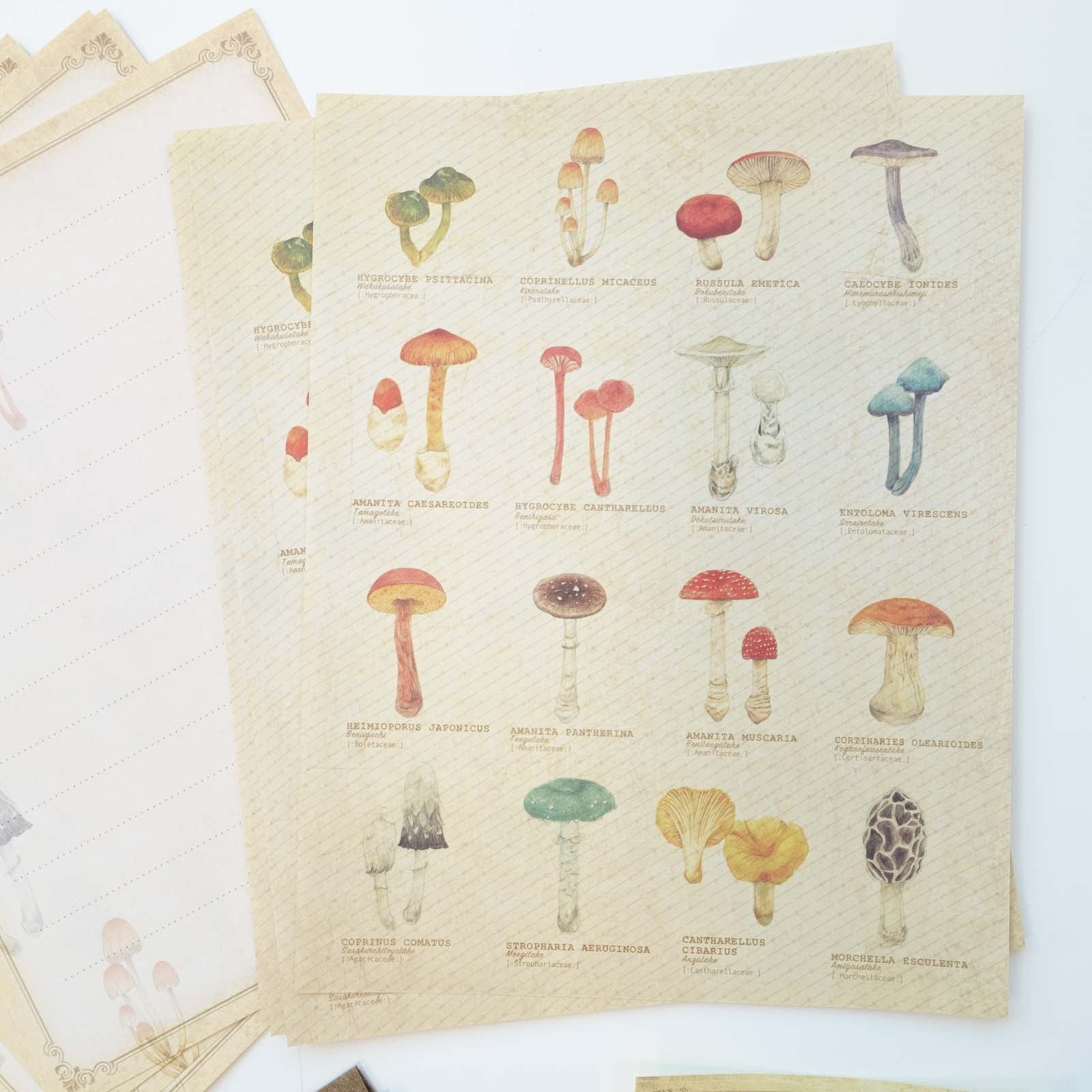 Vintage style premium, double sided, letter writing set featuring mushroom illustrations