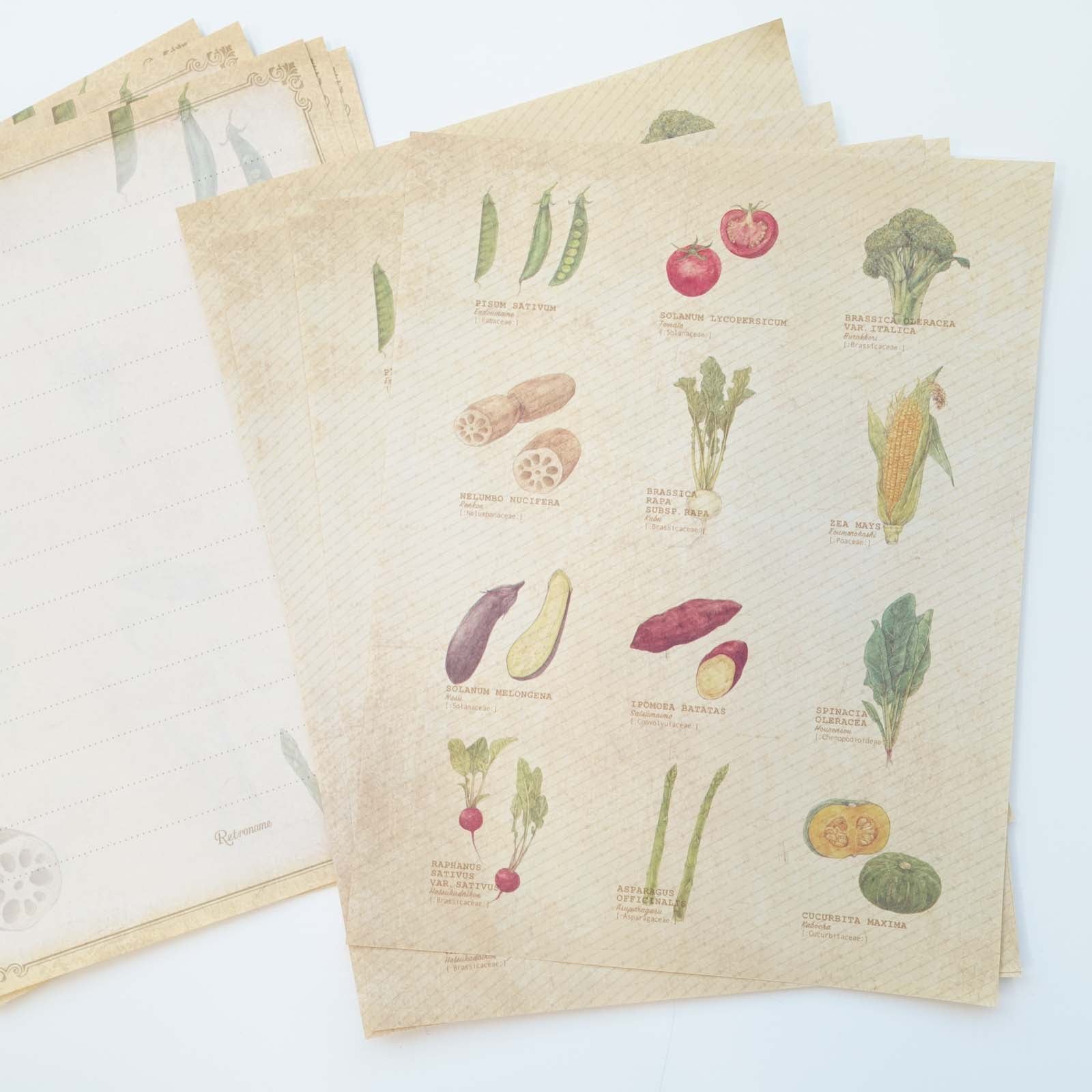 Vintage style premium, double sided, letter writing set featuring vegetable illustrations